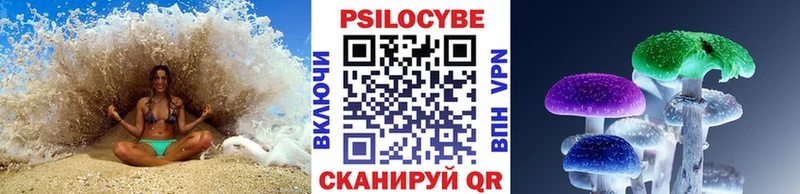 Галлюциногенные грибы Cubensis  Купить  Сольцы 